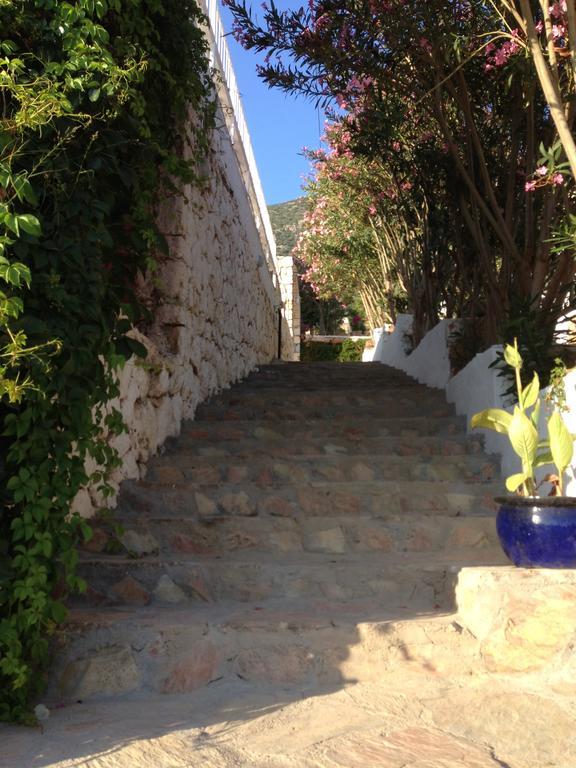 Lavender'S Lodge Hotel Kalkan Exterior photo